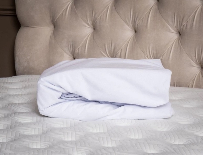 Защитный чехол Pure Plus